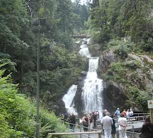 Triberger Wasserfälle