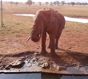 An der Salt Lick Lodge
