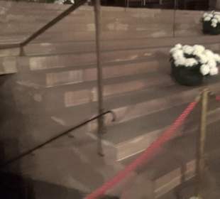 Straßburger Münster