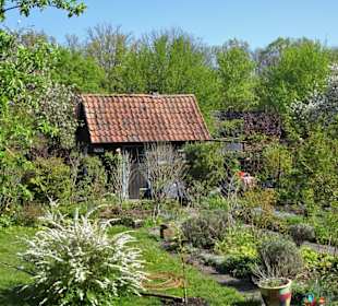 Gartenparadiese in der Dauerkolonie Annateich