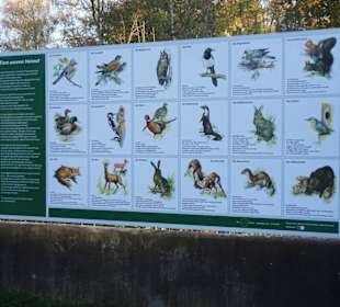 Infotafel zur Fauna des Bürgerparks