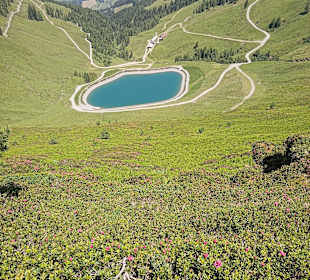 Wandern Reith im Alpbachtal
