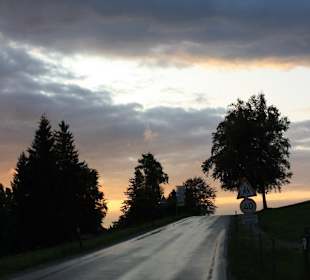 Beim Schwaltenweiher