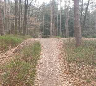 Fischbecker Heide Wanderwe 6