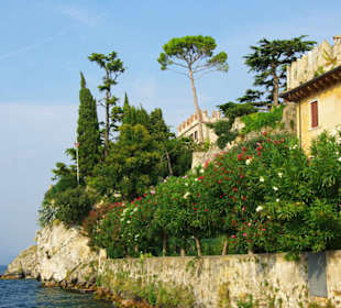 Am Ufer vom Gardasee