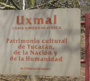 Schild
