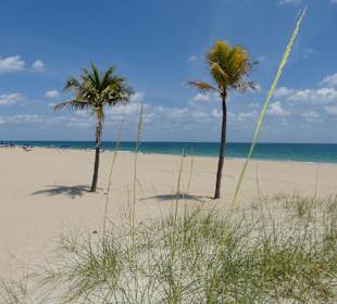 Strand Fort Lauderdale