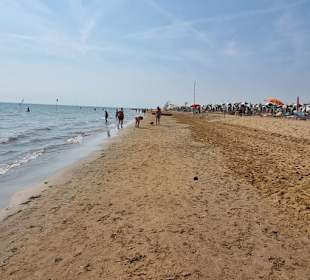 Herrlich zum Laufen-Sport