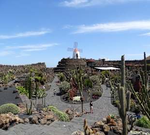 Jardin de Cactus