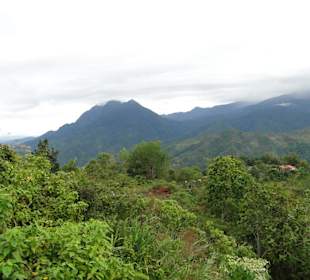 Wildlife Expeditions