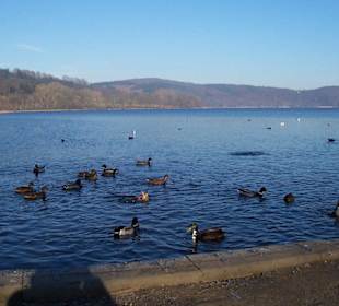 Am Ufer