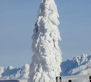 Talstation Flying Mozart