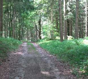 Klimaweg Sonnenalb