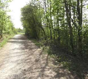 Wanderweg Firstwaldrunde