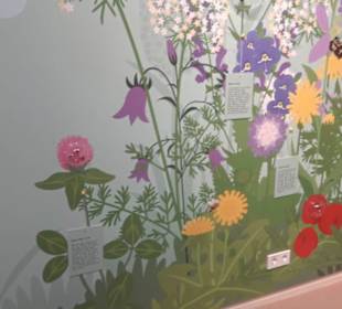 Museum für Naturkunde