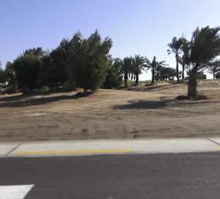 Stadtrundgang El Gouna