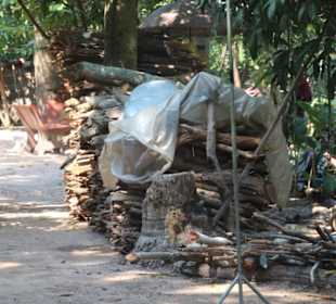 ...auf Touris gerüstet