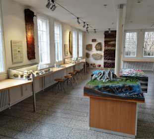 Blick in die Ausstellungsräume des Museums