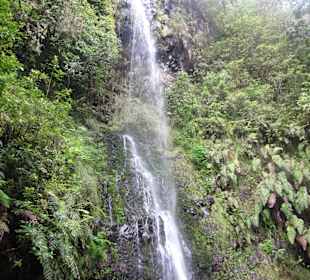 Wasserfall Levada de Norte