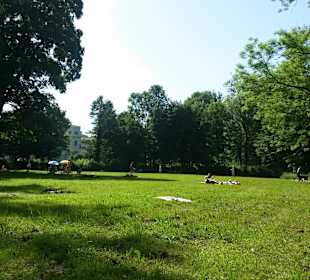 Schattiges und abgelegenes Plätzchen