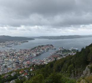 Blick auf Bergen und den Fjord