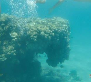 Riff am Hotel-Strand