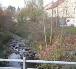 Fluss Breitenbach