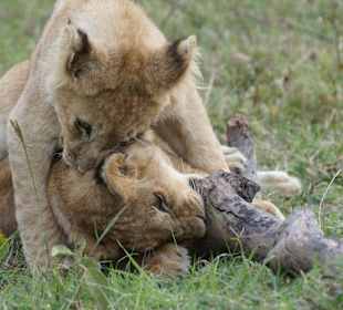 Spielen muß auch sein