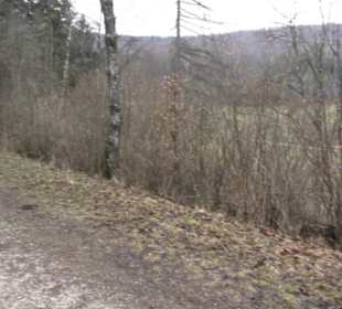 Wildpark Eichert