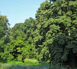 Spaziergang durch den Harburger Stadtpark