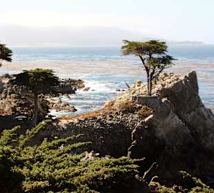 Entlang des 17 Miles Drive