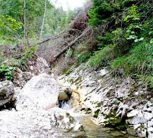 Homole Schlucht/ Jaworki- Ausflug aus Szczawnica 