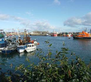 Howth harbour
