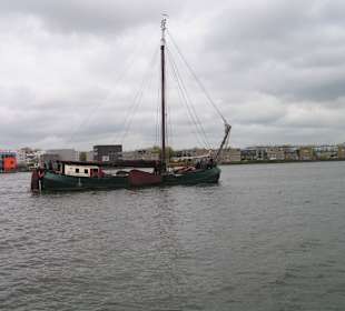 Nicht nur Tulpen aus Amsterdam