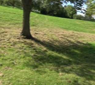 Hochgehnießen - Premiumspazierwanderweg