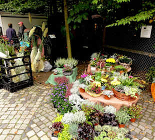 Bauernmarkt im Kreismuseum