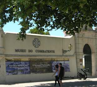 Museo del pato Combate