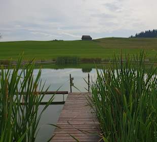 Naturschwimmteich am Haus am See.