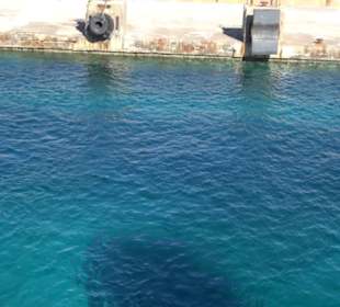 Fähre Gozo