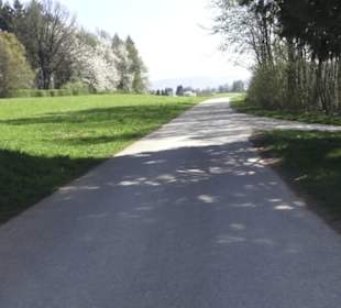 Wanderparkplatz Tannenwald