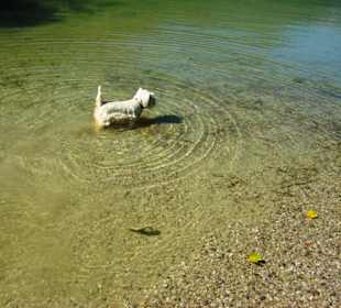 Am Achensee Pertisau