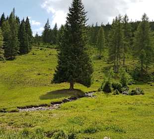 Wandern Dienten