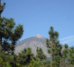 Nordseite EL Teide
