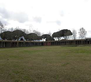Pompeii park 2