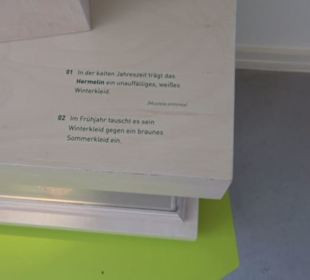 Museum für Naturkunde