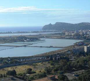 Parco Naturale Molentargius Saline