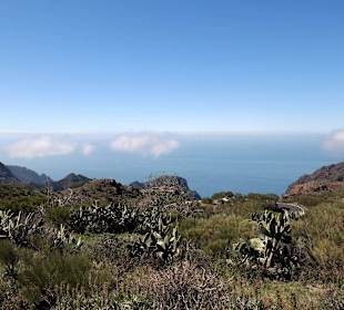 Teneriffa / Masca Schlucht