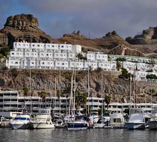 Delphin Safaritour von Morgan aus