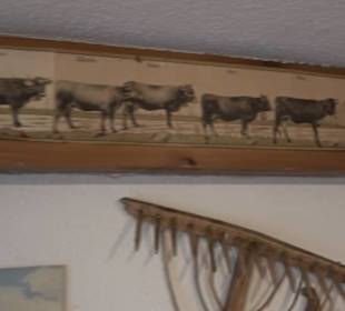 Heimatmuseum Oberstdorf