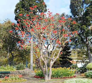 Parque de Santa Catarina